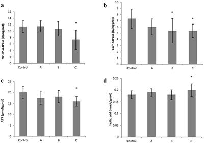 Disruption of Intracellular ATP Generation and Tight Junction Protein Expression during the Course of Brain Edema Induced by Subacute Poisoning of 1,2-Dichloroethane